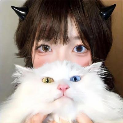 13号子弹