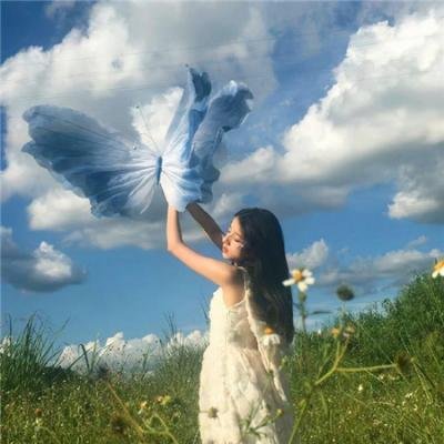 宝窗选婿